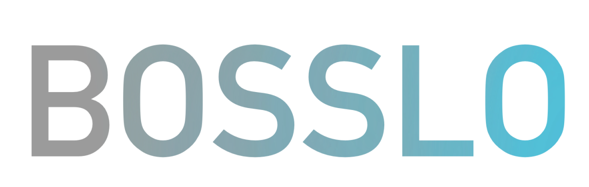 Bosslo Servicios de Consultoría SL
